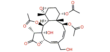 Minabein 10